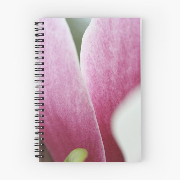 Aperçu de l'œuvre Magnolia petals créée et vendue par Catherine Tranter.