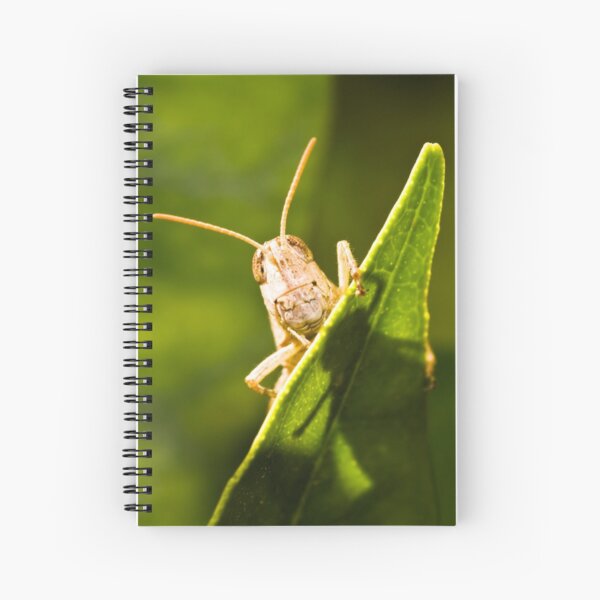 Peek-a-boo Spiral Notebook
