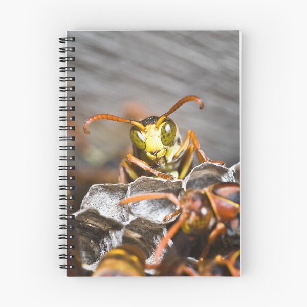 Item preview, The Supervisor designed and sold by AllshotsImaging.