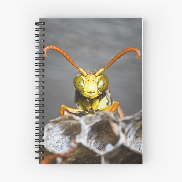 Item preview, Here's lookin' at you designed and sold by AllshotsImaging.