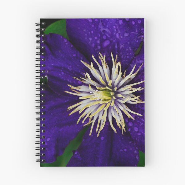 Item preview, Clematis After Rain designed and sold by Michele Duncan IPA.