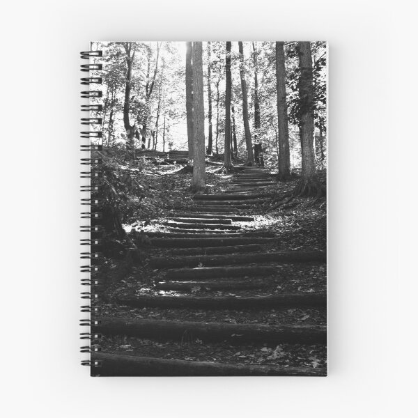 Item preview.