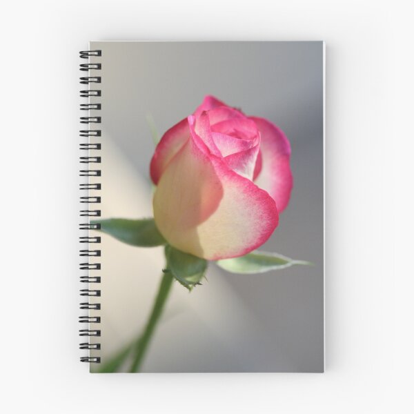 Item preview, Rose designed and sold by Catherine Tranter.