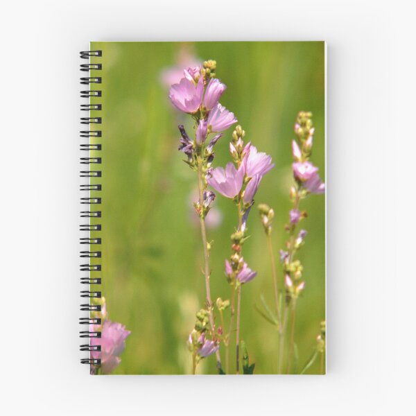 Item preview, Wildflowers - Sundance, UT designed and sold by Ryan Houston.