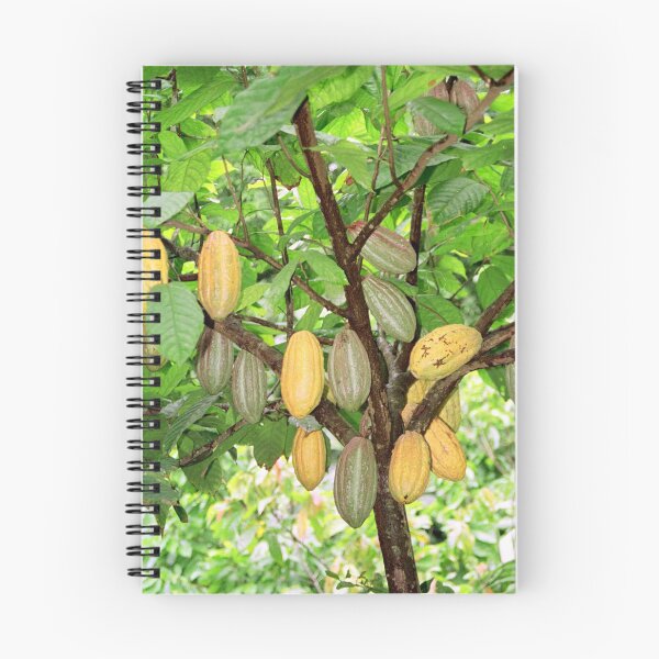 Item preview, Cocoa tree with pods designed and sold by photoslot.