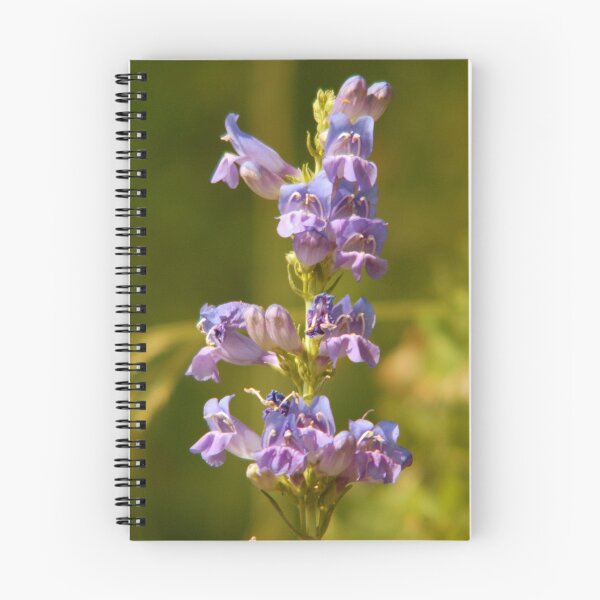 Item preview, Purple Wildflower - Sundance, Utah designed and sold by Ryan Houston.
