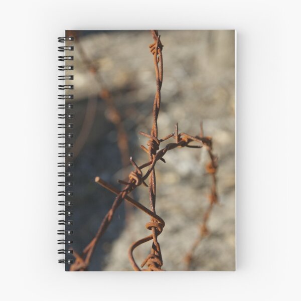 Item preview, Barbed designed and sold by BekB.