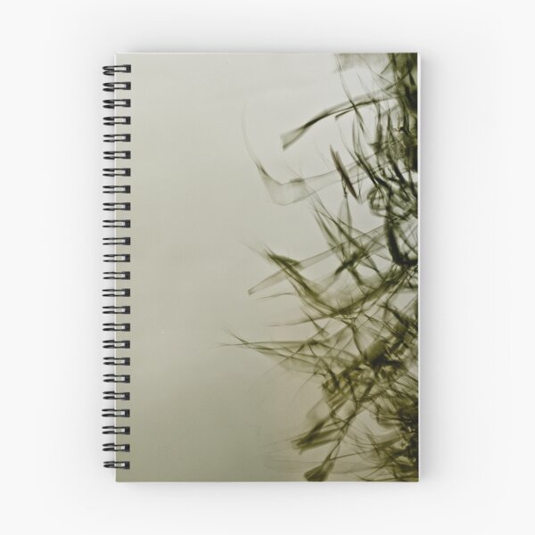 Item preview, Reflections... designed and sold by Ian Tilly.