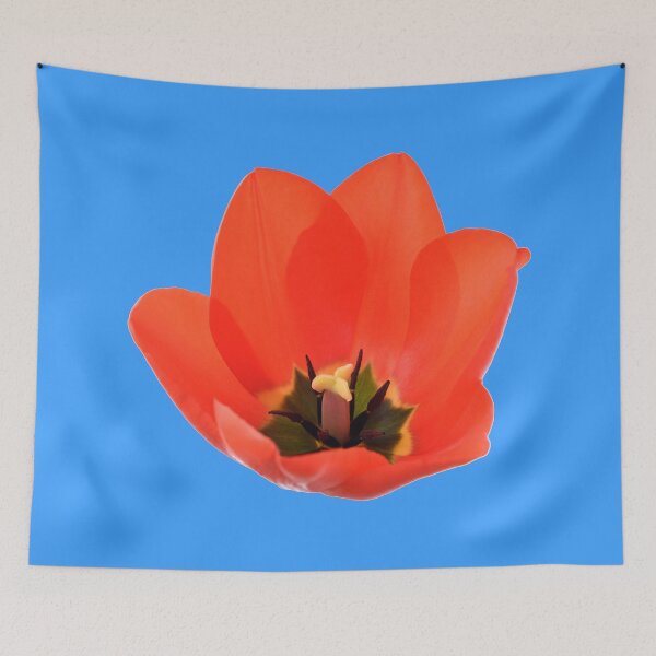 Item preview, Red tulip designed and sold by Chris Burrows.