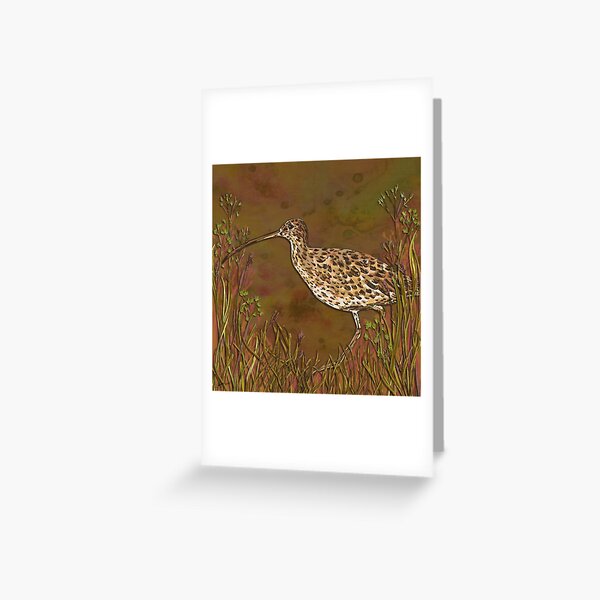 Curlew Greeting Card