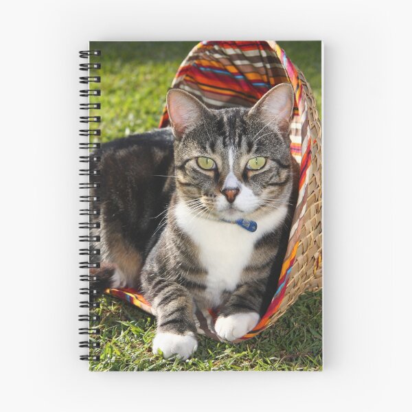 Item preview, Gato en el sombrero designed and sold by Elaine Harriott.