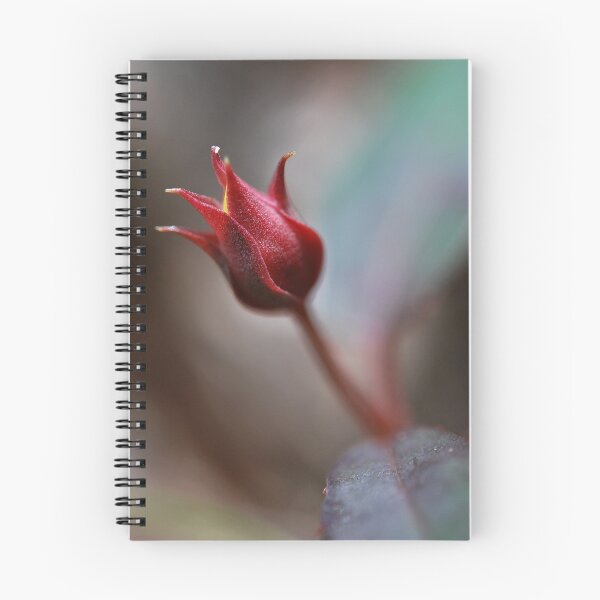 Item preview, Prelude designed and sold by Steve  Woodman.