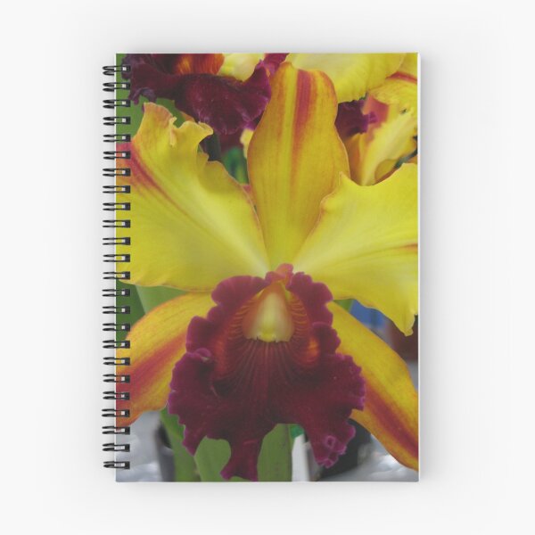 Item preview, orquídea en flor designed and sold by rudledge.