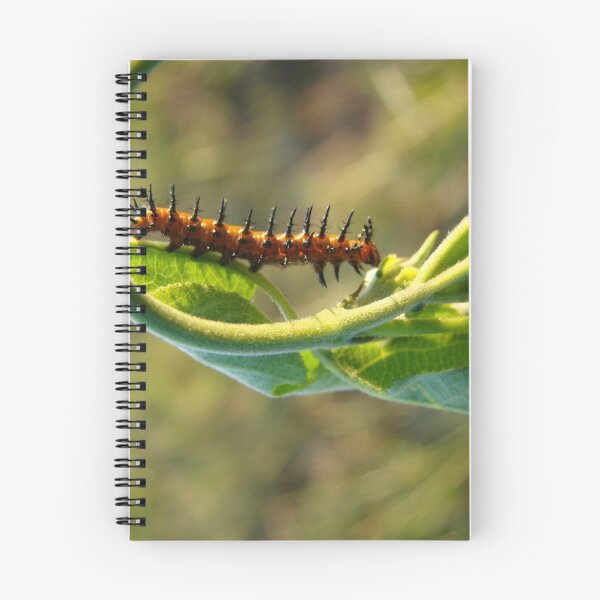 Item preview, Spike the Caterpiller designed and sold by Wendella Sager.