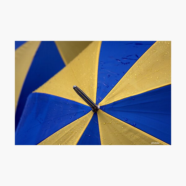 An umbrella Photographic Print