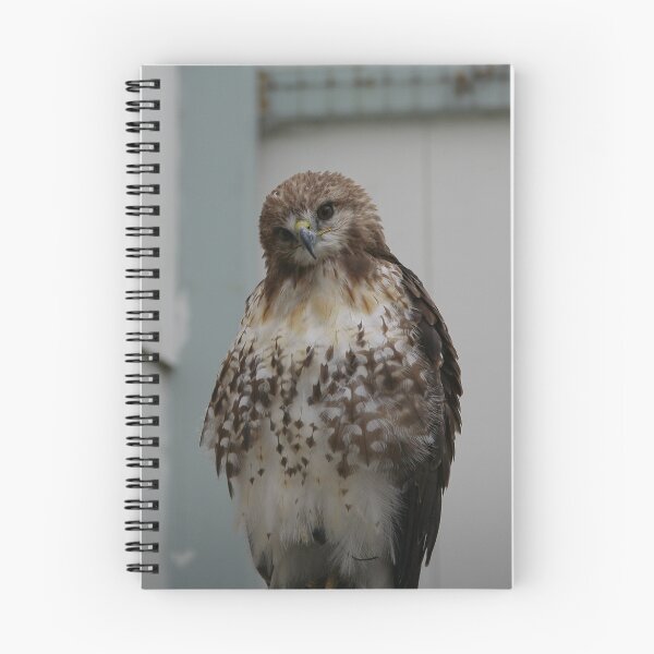 Item preview, I AM ONLY A POOR LITTLE REDTAIL designed and sold by Sean Farragher.