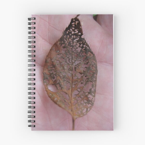 Artikelvorschau, little leaf in palm entworfen und verkauft von Laurkat.