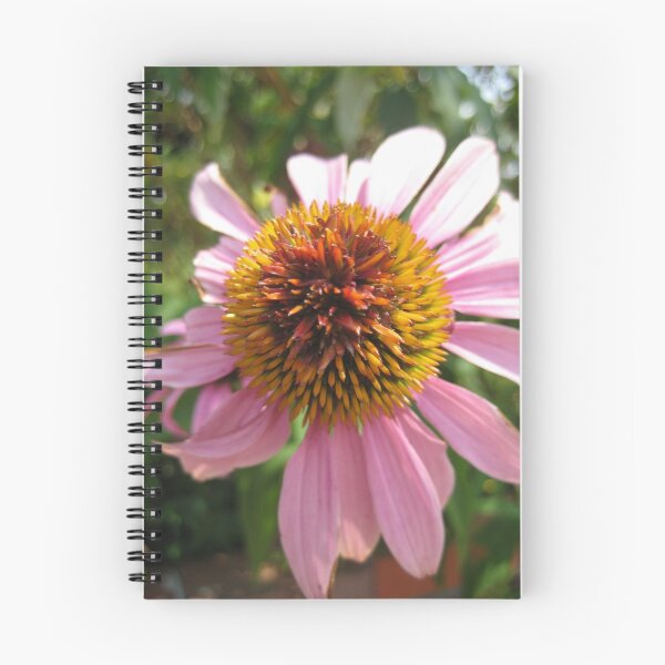 Item preview, echinacea in summer designed and sold by Laurkat.
