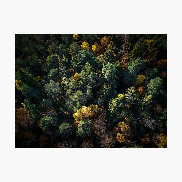Item preview, Forest Landscape - Aerial Photography designed and sold by Nicklas81.