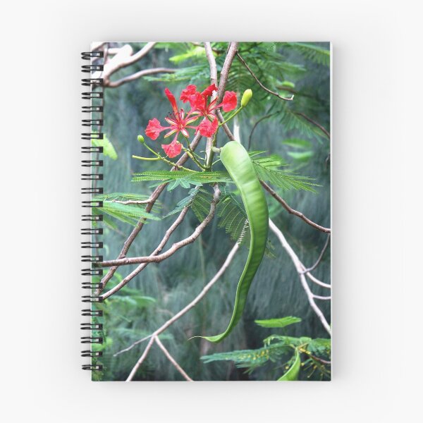 Item preview, ROYAL POINCIANA designed and sold by TomBaumker.