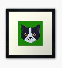 Little Blue Framed Print