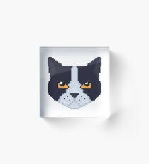 Little Blue Acrylic Block