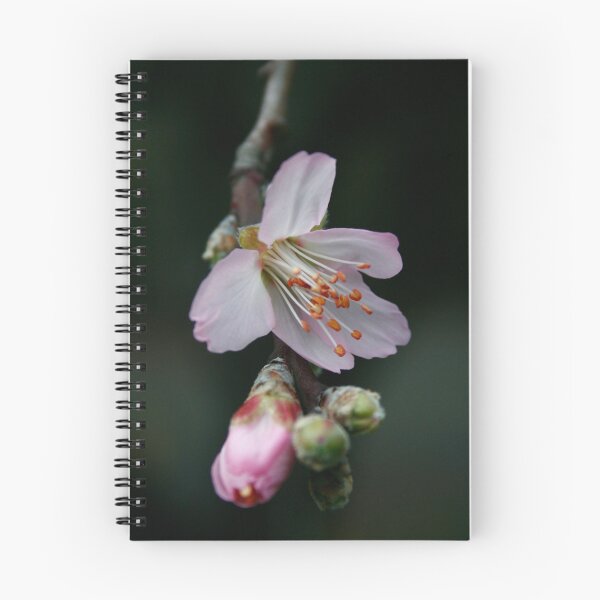 Item preview, Flor de julio designed and sold by Tracey McKenzie.