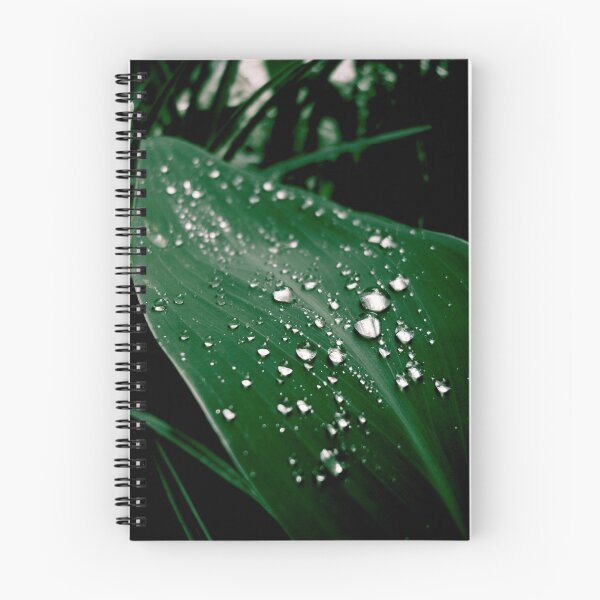Artikelvorschau, Dew Drops entworfen und verkauft von Katie Gill.