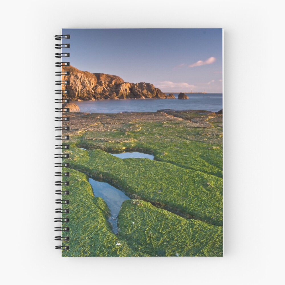 Item preview, Spiral Notebook designed and sold by Ray001.