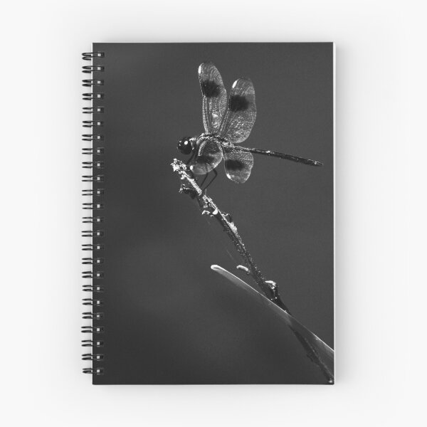 Aperçu de l'œuvre Dragonfly créée et vendue par BethBernier.
