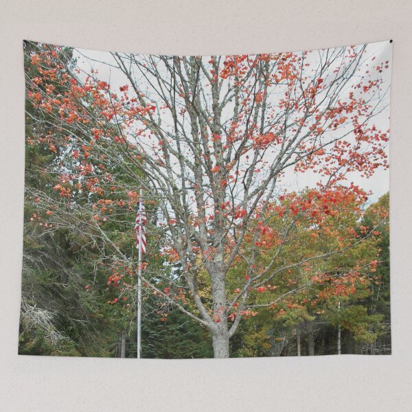 Item preview, Bare Tree in the Fall designed and sold by AnnDixon.
