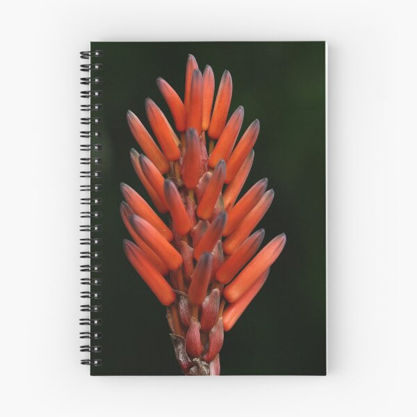 Item preview, Aloe Flower designed and sold by Barbara Harris.