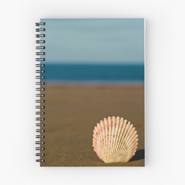Item preview, Shell by the Sea designed and sold by David de Groot.