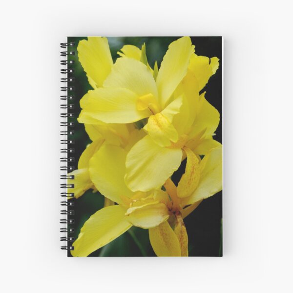 Yellow feathers Spiralblock