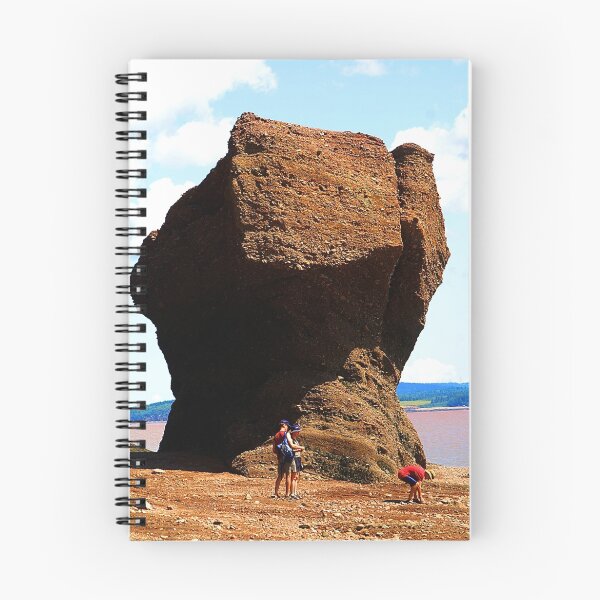 Aperçu de l'œuvre Hopewell Rocks créée et vendue par Mien.