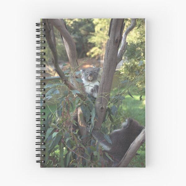 Item preview, Koalas designed and sold by Phil Rogers.