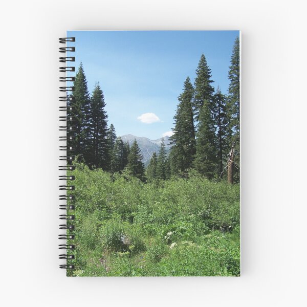 Artikelvorschau, Clark's Fork entworfen und verkauft von Dana Nixon.
