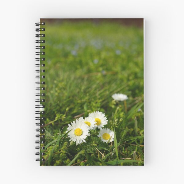Item preview, pure designed and sold by martrix.