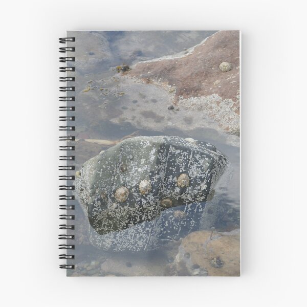 Item preview, Rockpool designed and sold by Andrew  Kerry.