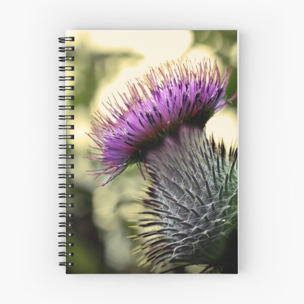 Artikelvorschau, Thistle Do entworfen und verkauft von Marloag.