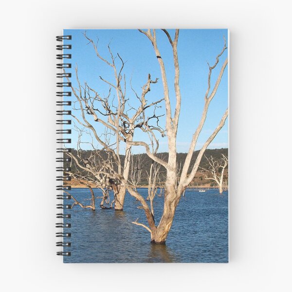 Item preview, Lake Eildon designed and sold by daverach1.