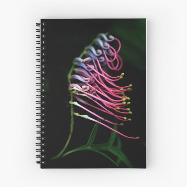 Item preview, Grevillea "Bronze Rambler" designed and sold by Barbara Harris.