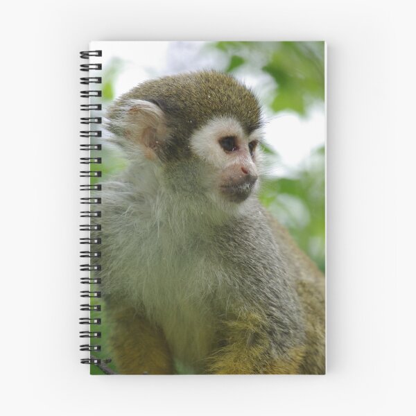 Item preview, Squirrel Monkey designed and sold by celticshot.