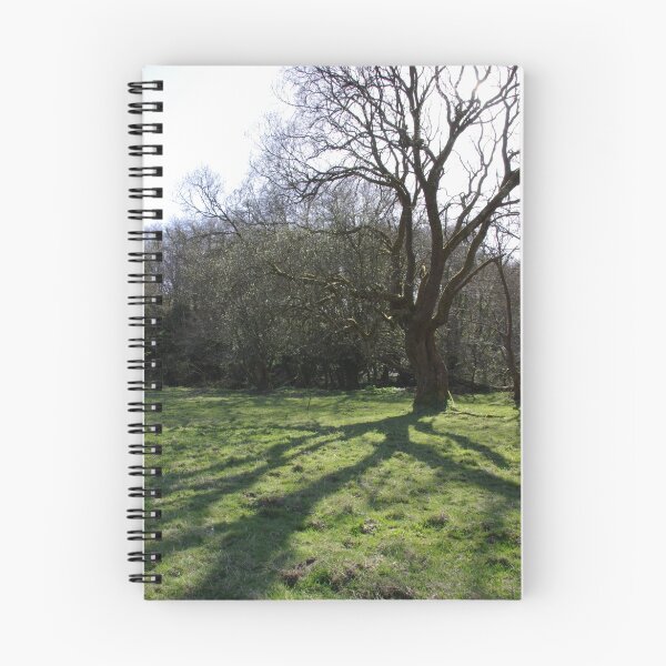 Item preview, Tree Shadow designed and sold by celticshot.