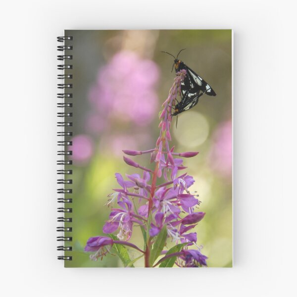 Artikelvorschau, Butterfly Garden entworfen und verkauft von Sandra Milner.
