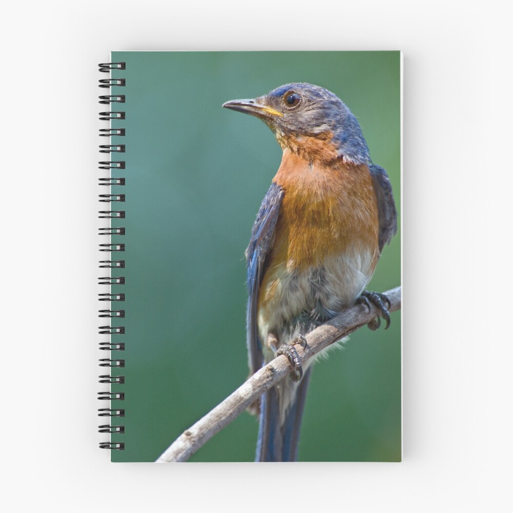 Item preview, Spiral Notebook designed and sold by Miracles.