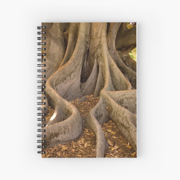 Golden Fig Tree Spiral Notebook