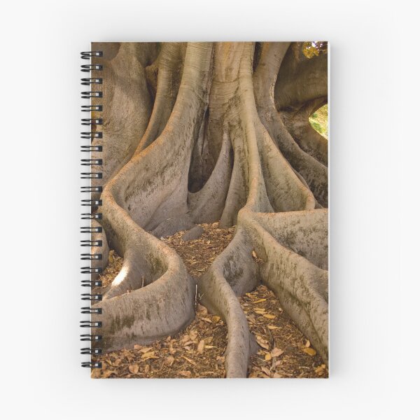 Item preview, Golden Fig Tree designed and sold by Mark McClare.