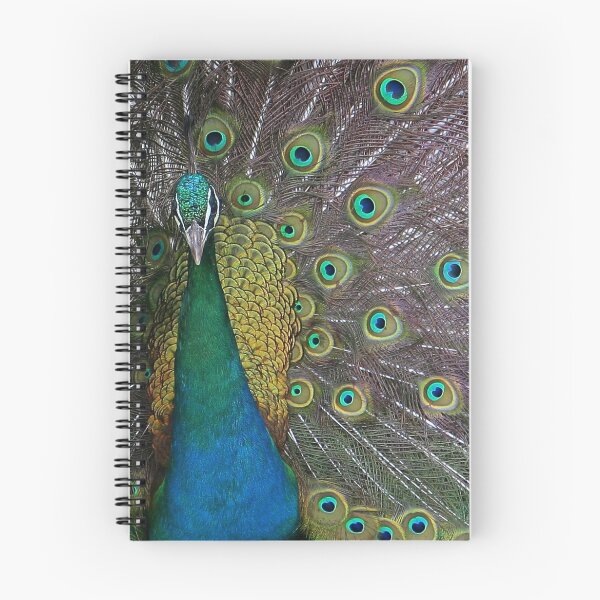 Item preview, PEACOCK PROUD designed and sold by Sean Farragher.