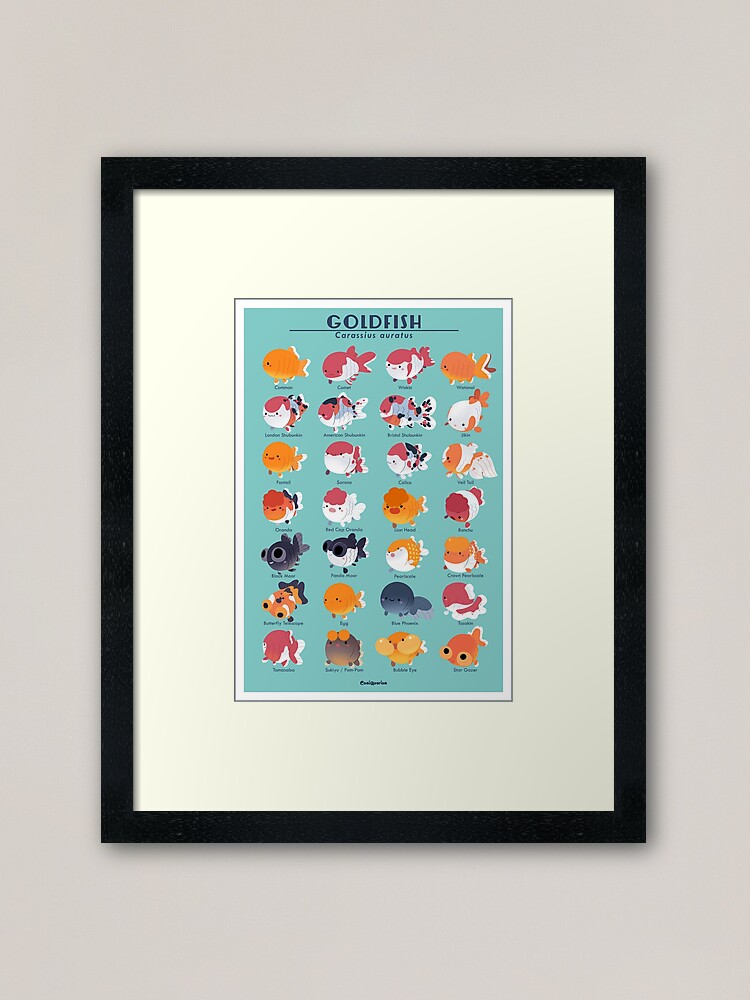 Alternate view of Goldfish Breed Poster Framed Art Print